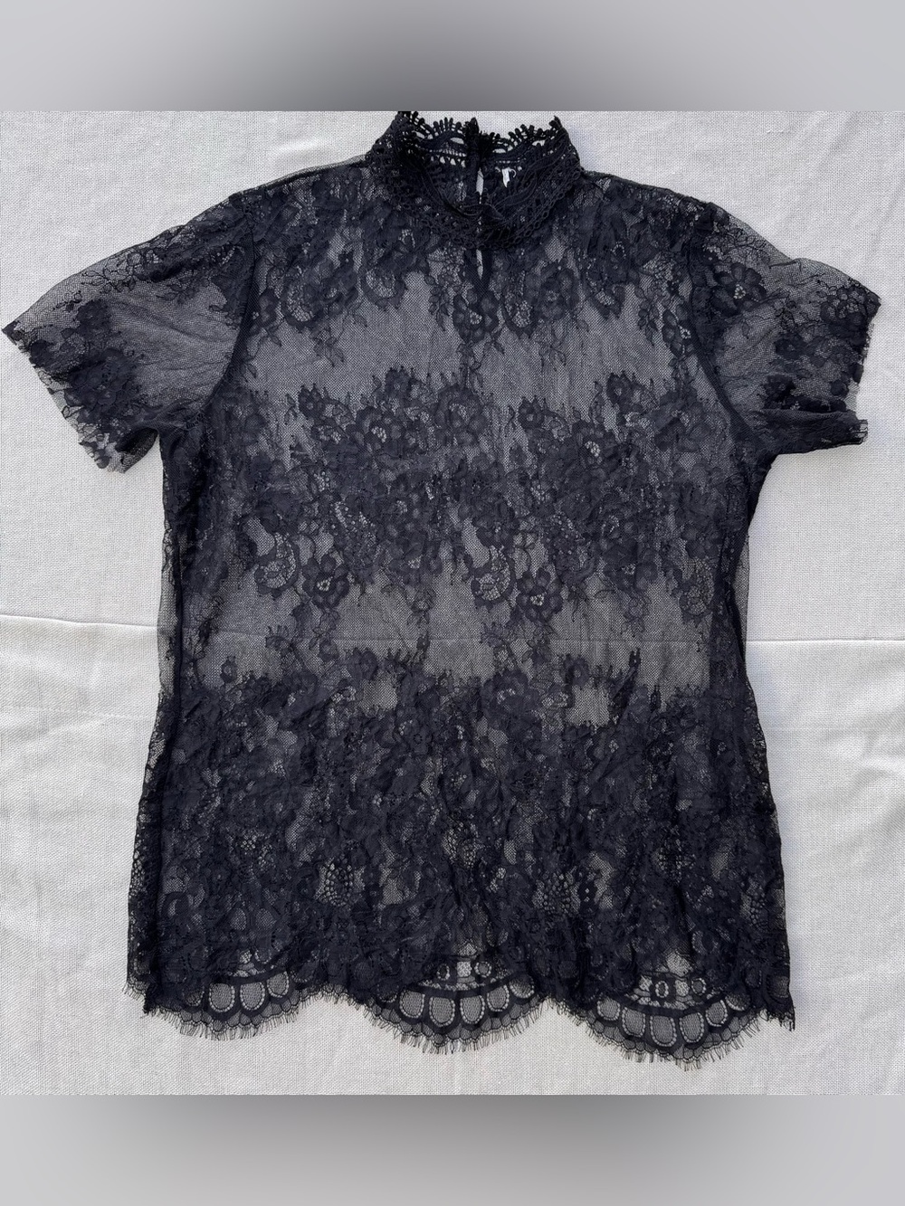 Lace Black Sheer Scalloped Short Sleeve Blouse Top Goth Whimsy Whimsigoth Floral